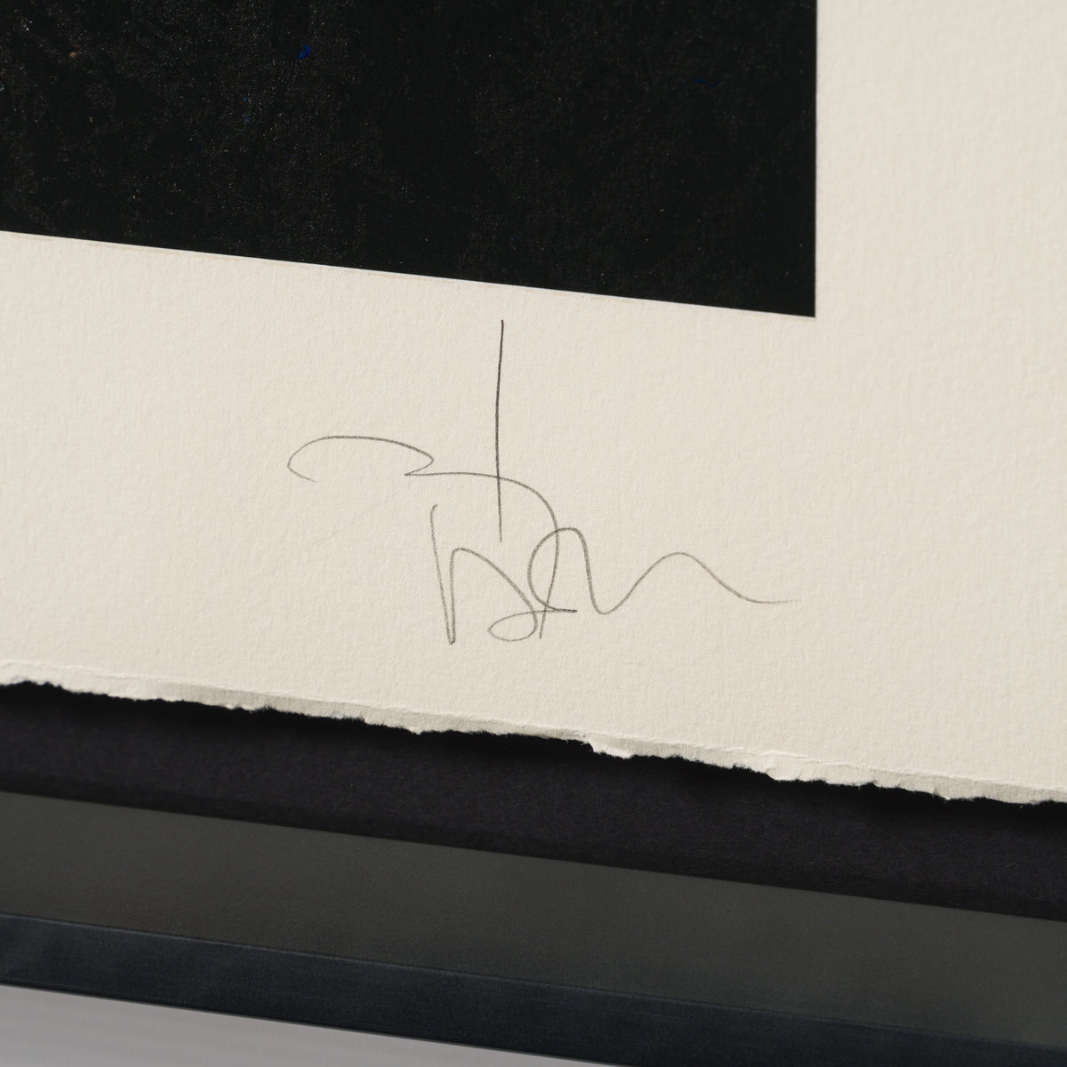 Product image 1 for johnny-depp-flowers