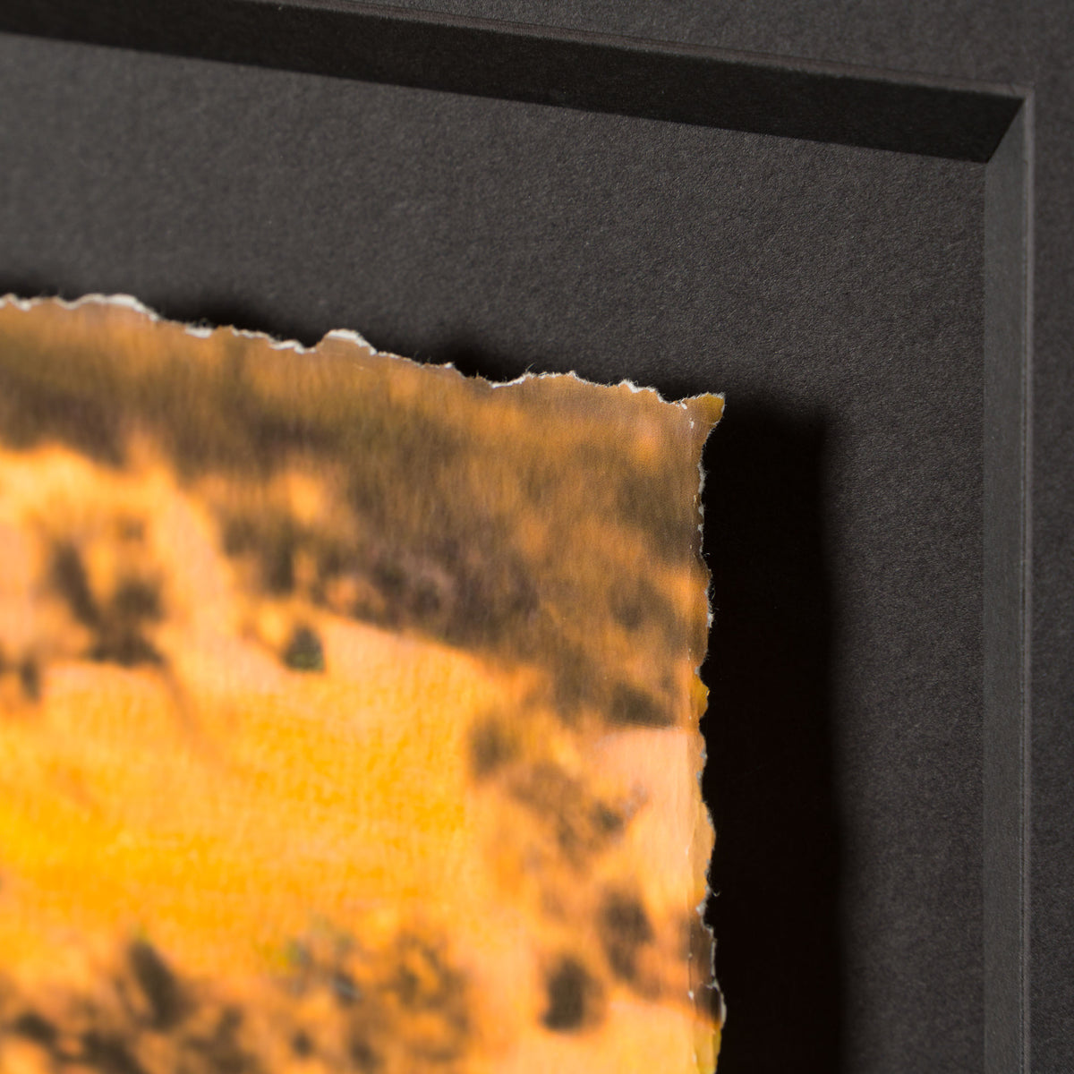 JGI ORI POR 30909 Before Weekend (1246) 4 