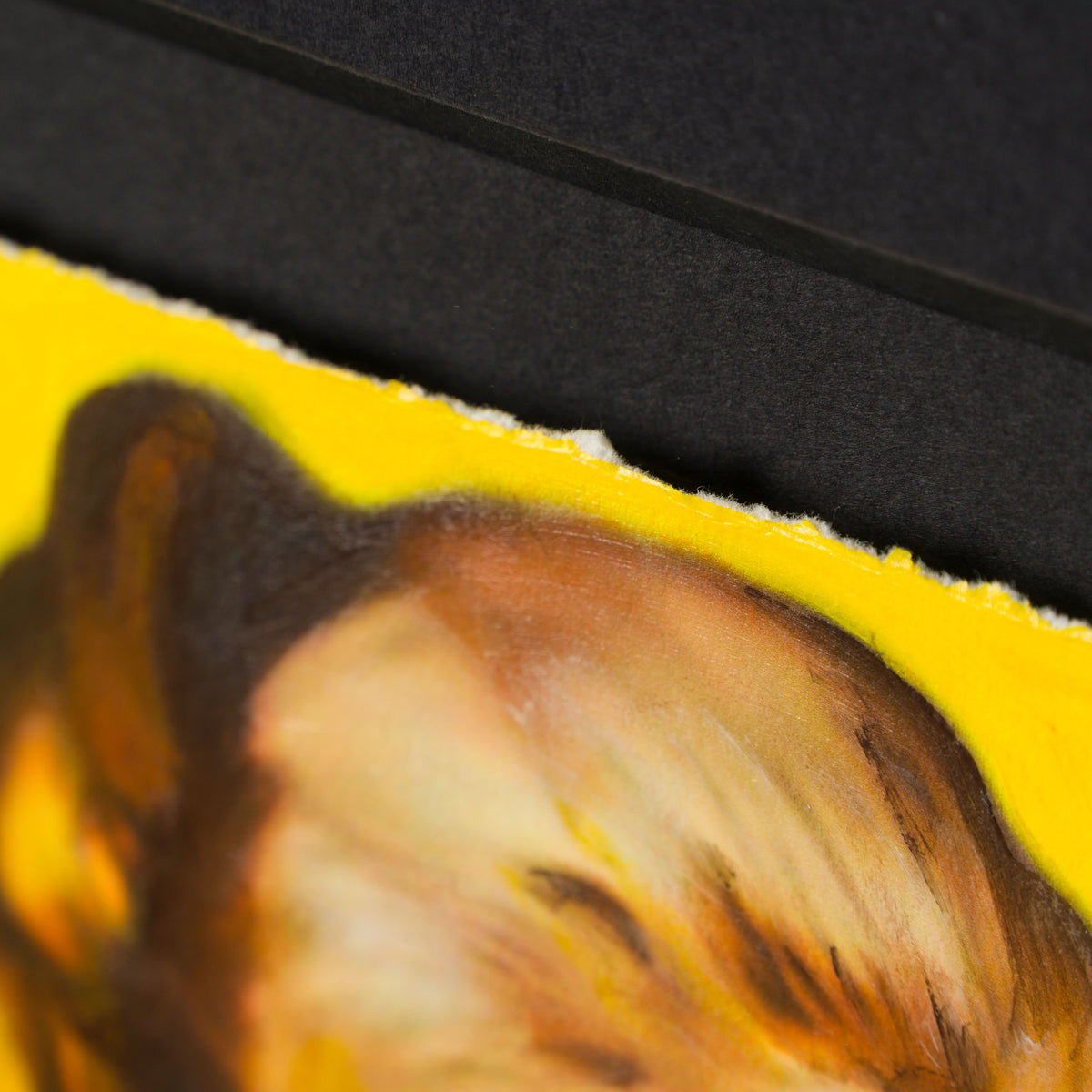 JGI ORI POR 34481 Marilyn, 2024 (1791) 6 