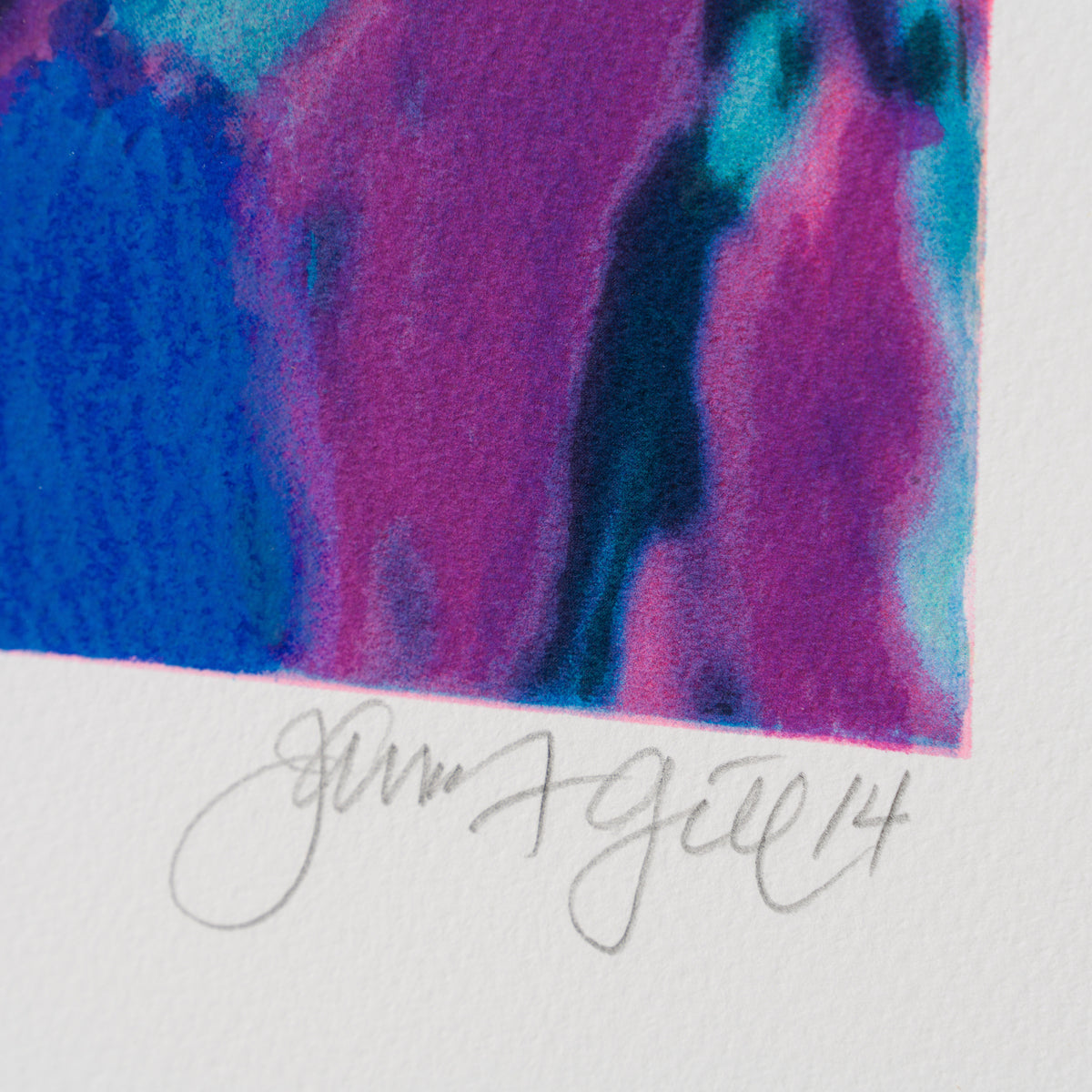 JGI SIL POR 17627 3 Duke In Desert Shadow 