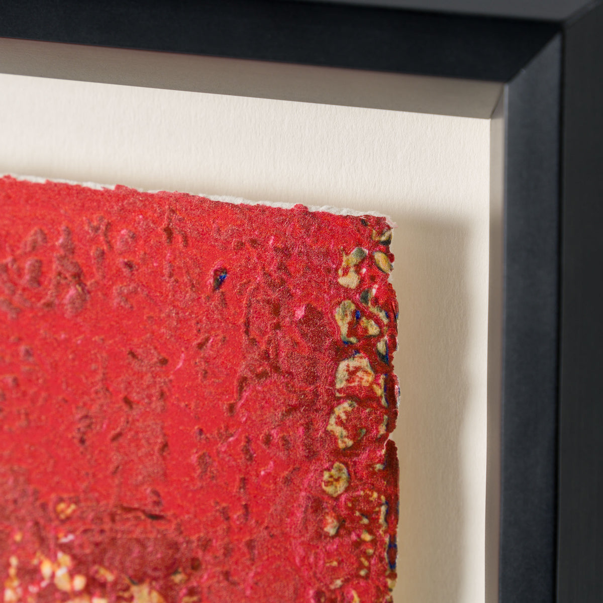 JMQ 6 Stupid Crazy Love 