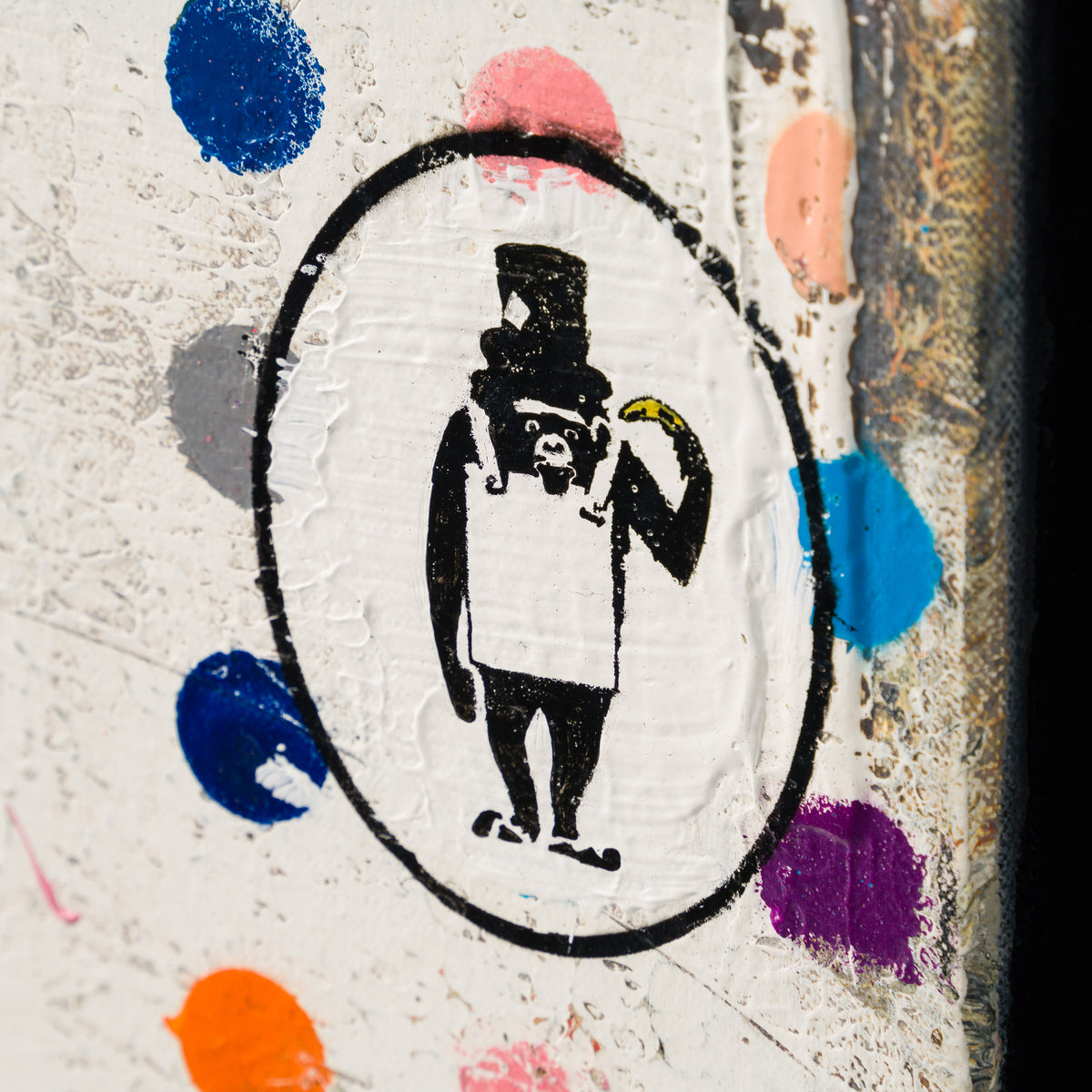 JMQ MIX ABS 91143 02 NO RISK NO STORY (EXTRA SMALL 2) 3 