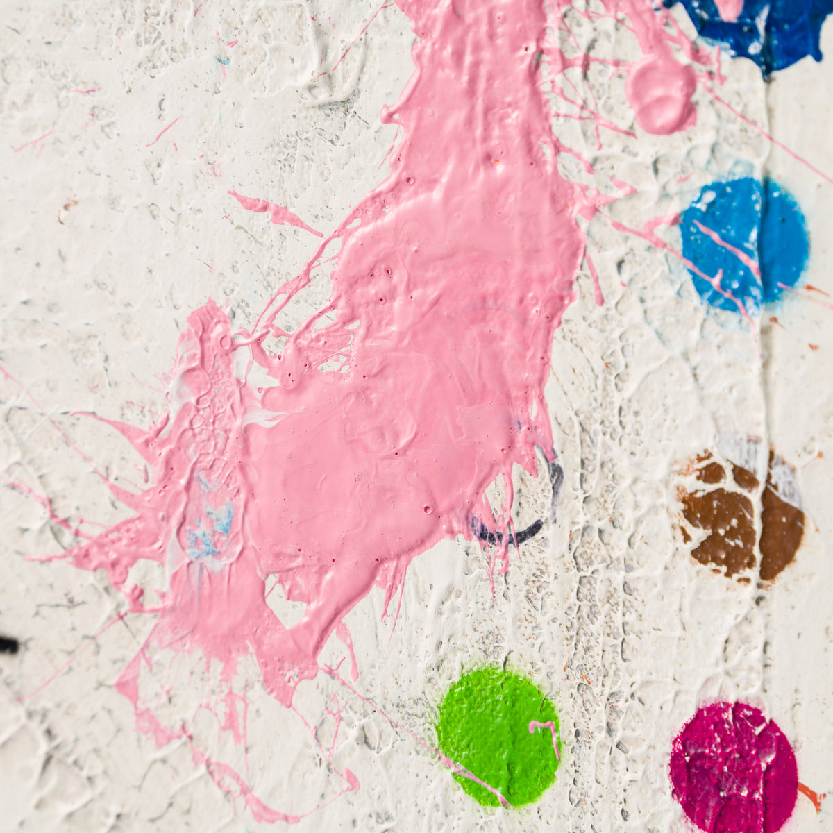 JMQ MIX ABS 91143 02 NO RISK NO STORY (EXTRA SMALL 2) 5 