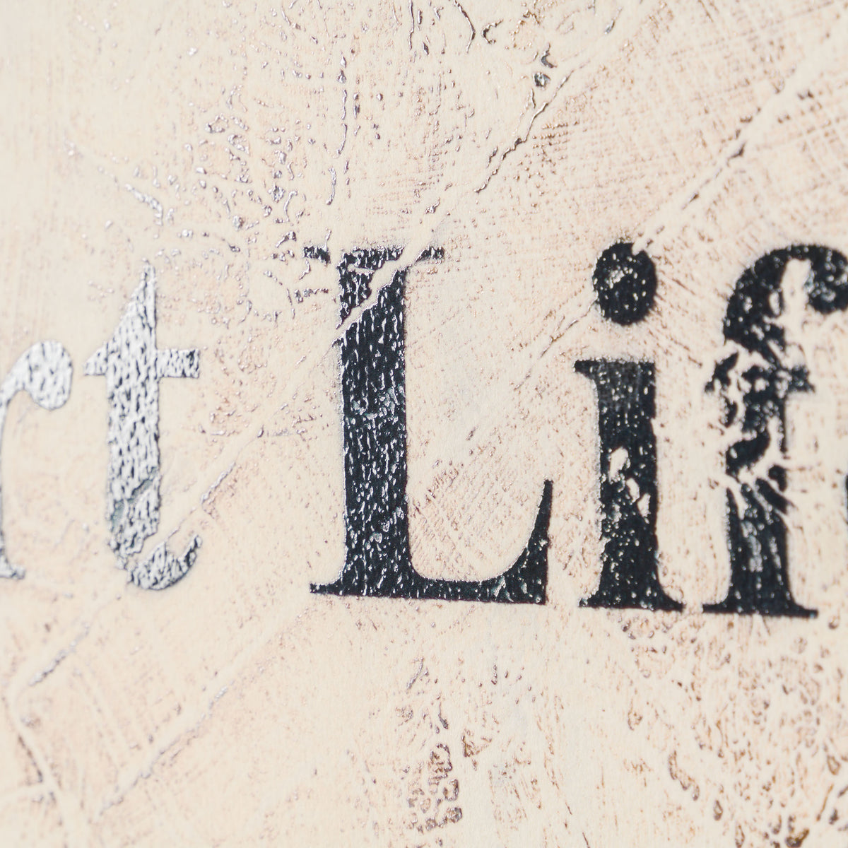 JMQ Short Life Stories 9 