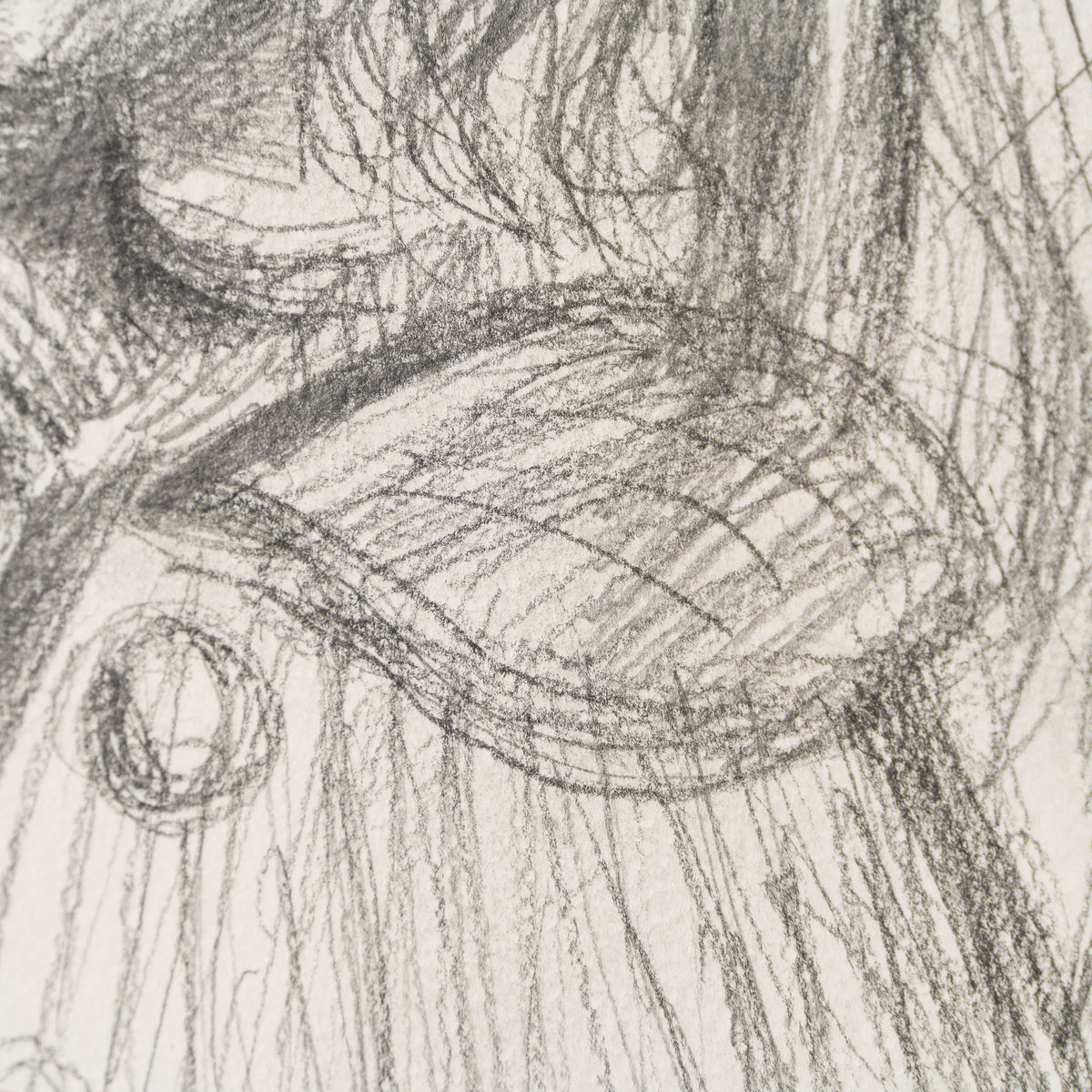 JMY ORI POR 33818 Pencil Study (1) of Sylvette David In The Style Of Pablo Picasso 1954 6 