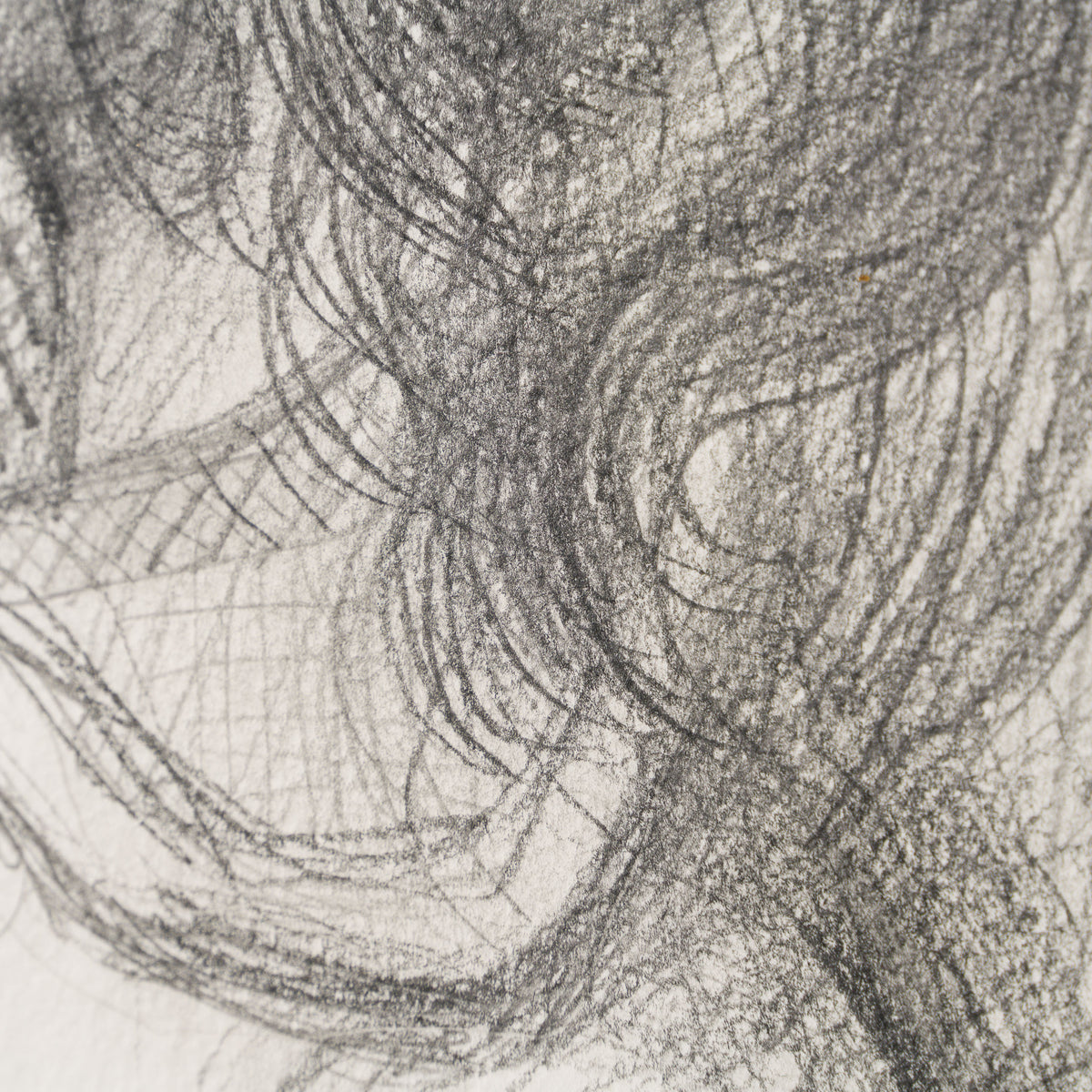 JMY ORI POR 33820 Pencil Study (3) of Sylvette David In The Style Of Pablo Picasso 1954 6 