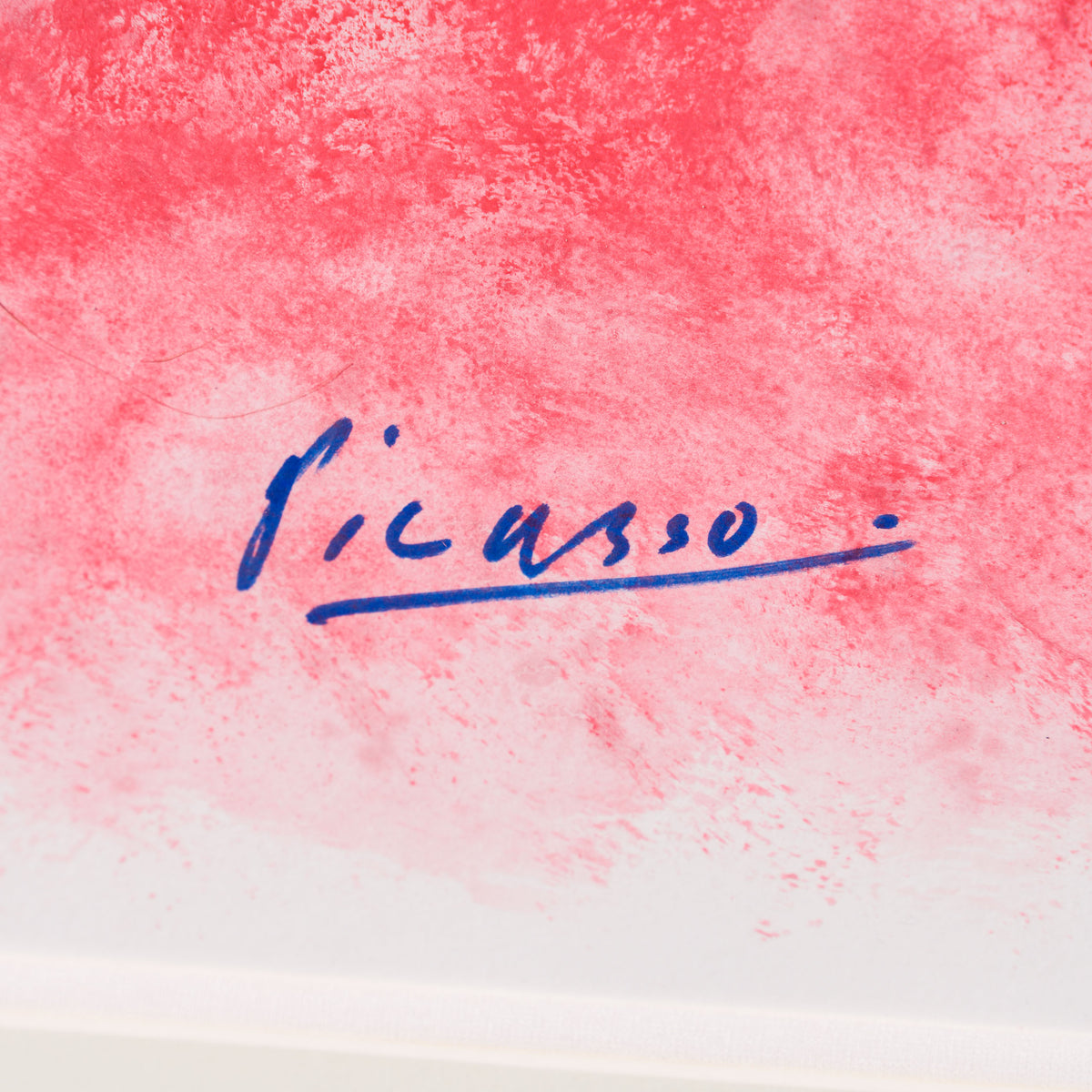 JMY ORI POR 33824 Rose Dove Of Peace In The Style Of Pablo Picasso 1961 3 