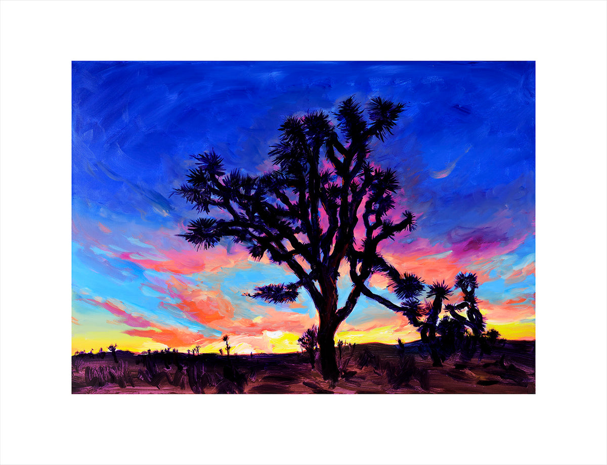 The Beaten Path (2019) | Set of 12 Framed Graphics