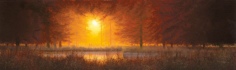 lcgc153 our silent place r1