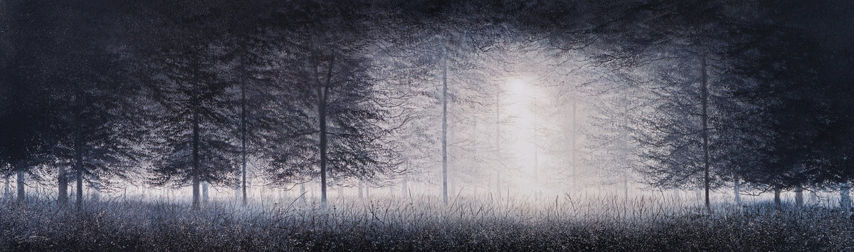 LCO 31 The Trees of Time 