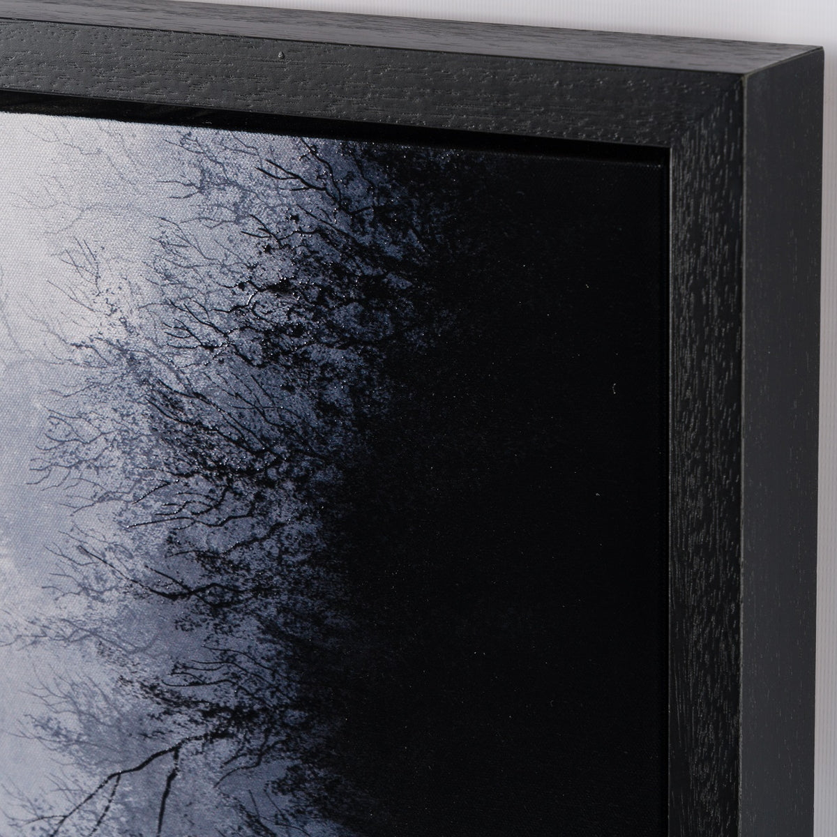 LCO 5 We Could Be Ghosts 