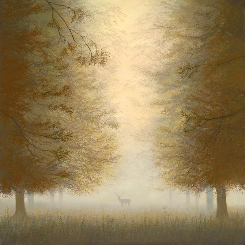 lco majest and mist r1