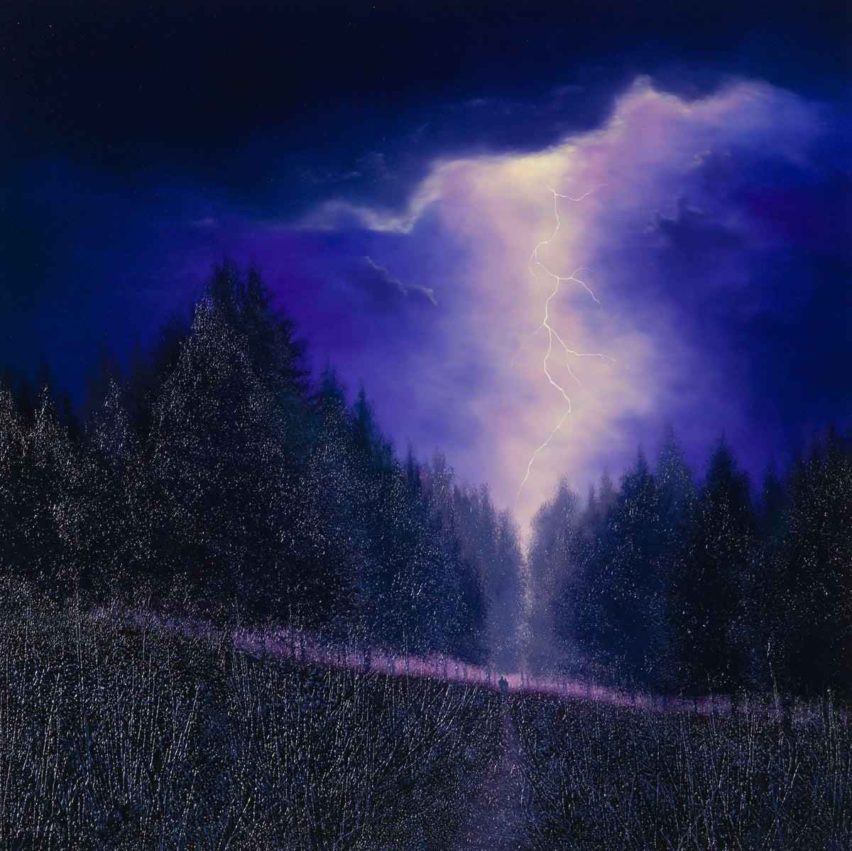 LCO ORI LAN 27498 31 Ultra Violet 