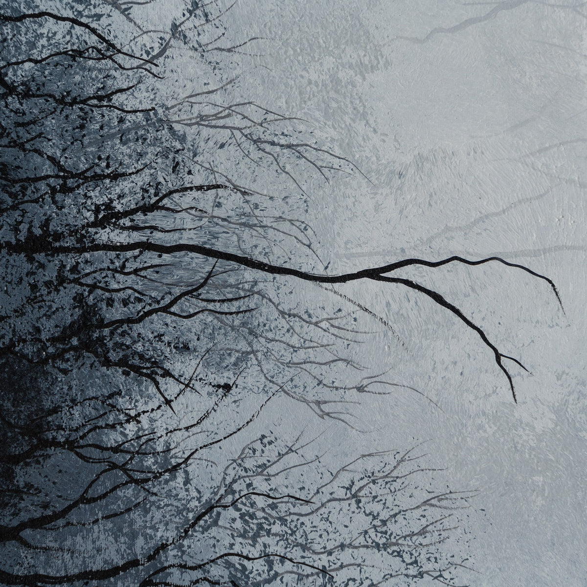 LCO ORI LAN 28862 5 We Could Be Ghosts 