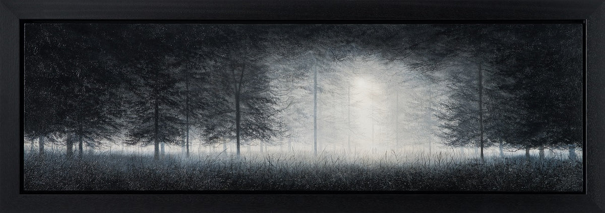 LCO ORI LAN 29403 30 The Trees Of Time 