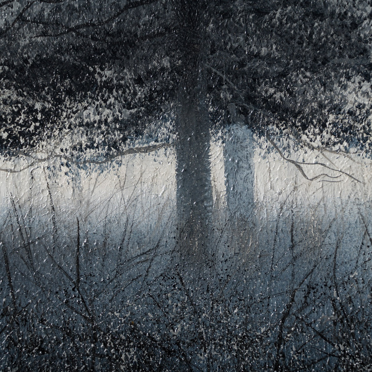 LCO ORI LAN 29403 4 The Trees Of Time 