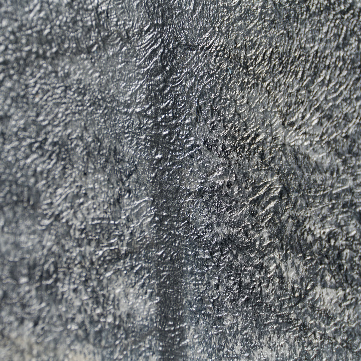 LCO ORI LAN 29403 7 The Trees Of Time 