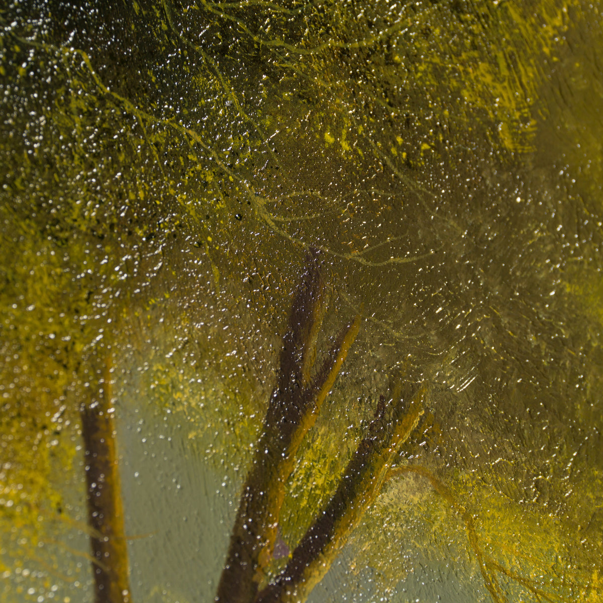 LCO ORI LAN 29529 5 Memories Made 