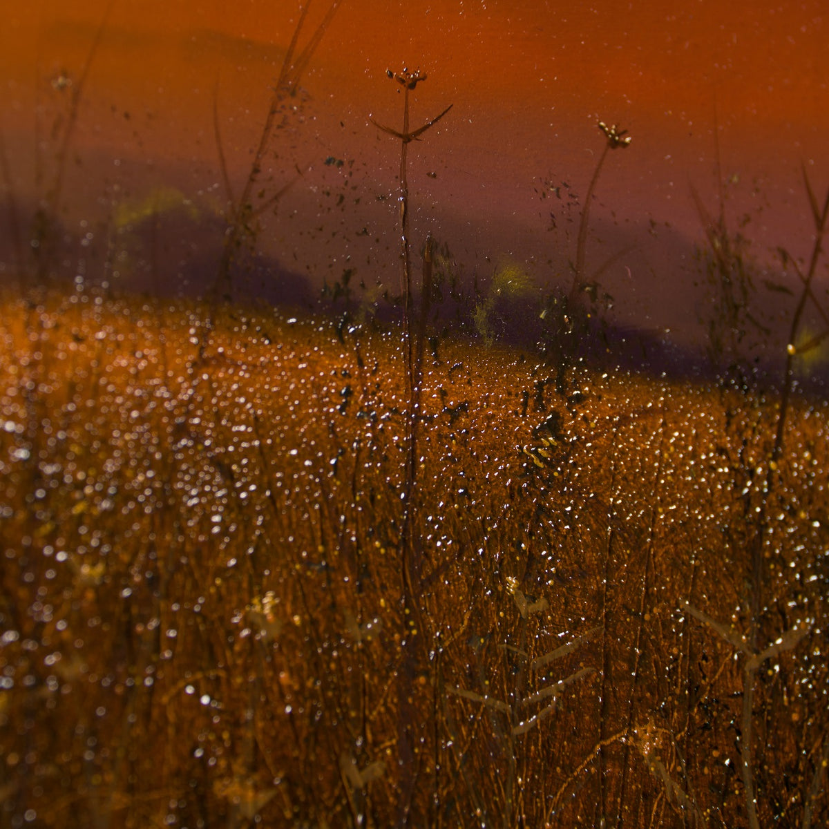 LCO ORI LAN 30311 heart and soul (8) 