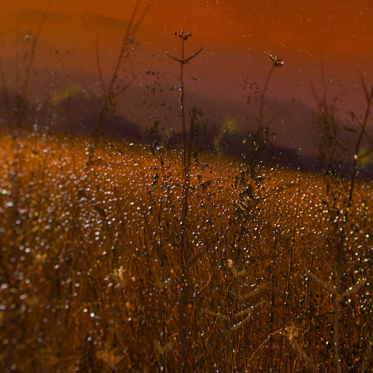 LCO ORI LAN 30311 heart and soul (8) 