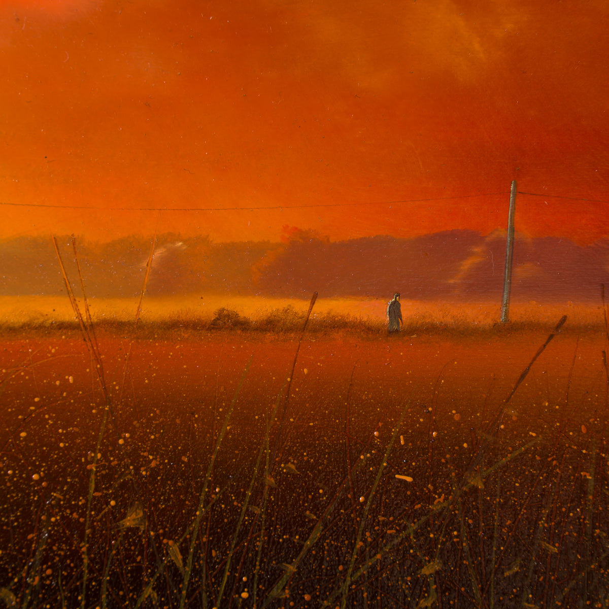 LCO ORI LAN 31226 Where The Heart Is 4 