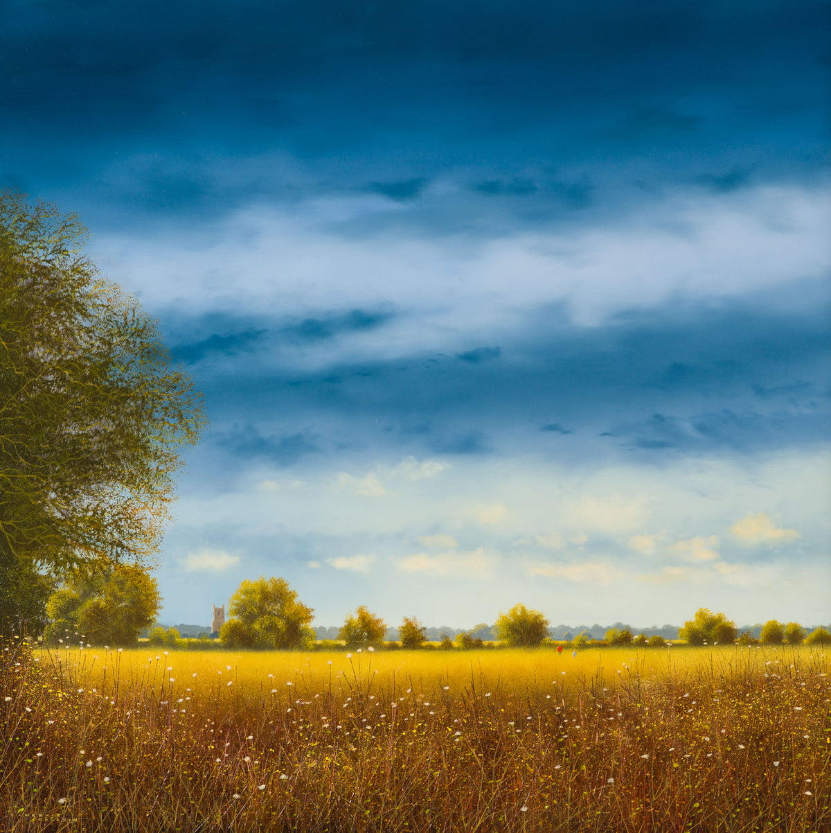 LCO ORI LAN 31965 High Summer Morton 31 