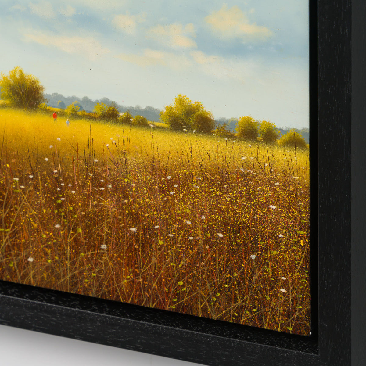 LCO ORI LAN 31965 High Summer Morton 6 