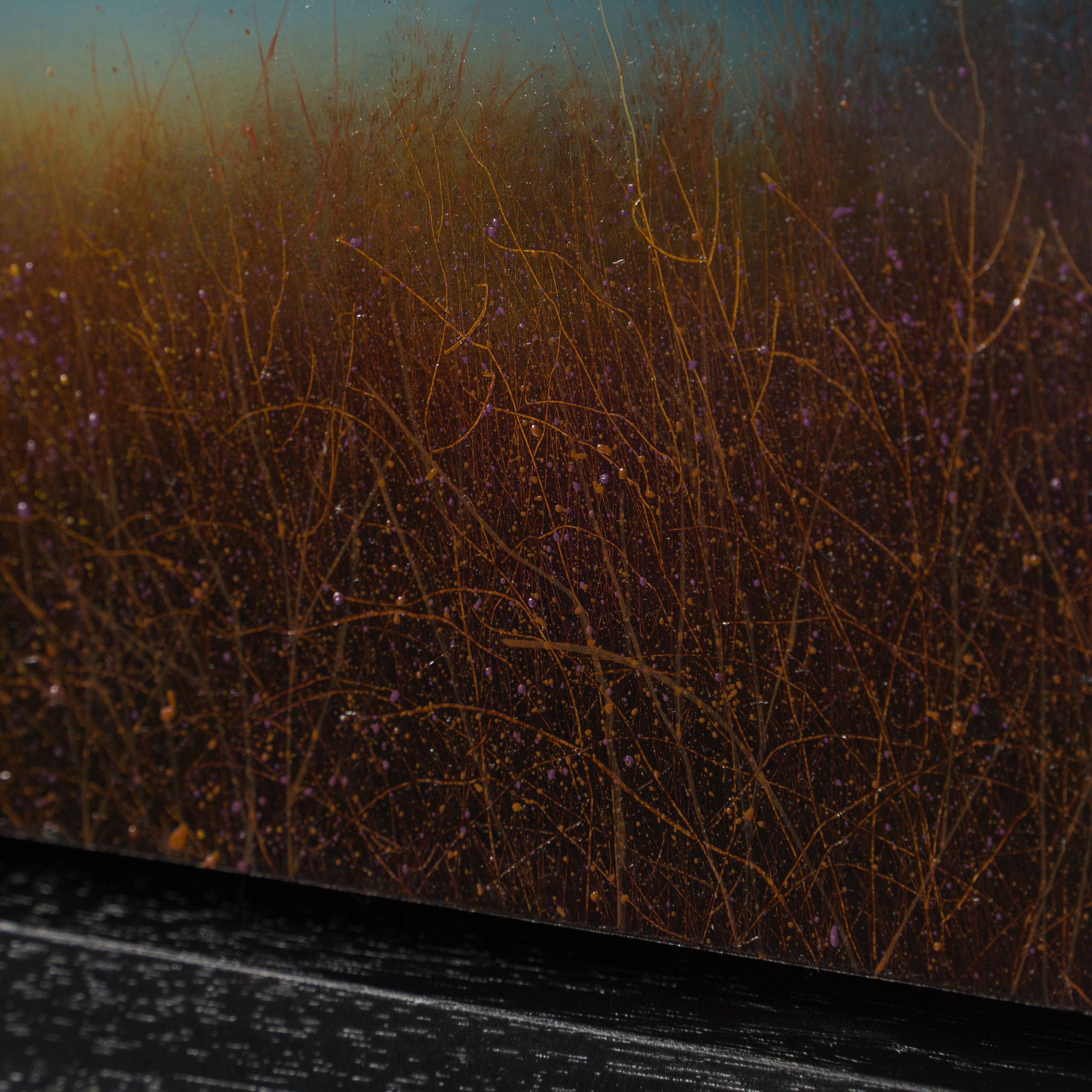 LCO ORI LAN 31967 Highland Thunder 6 