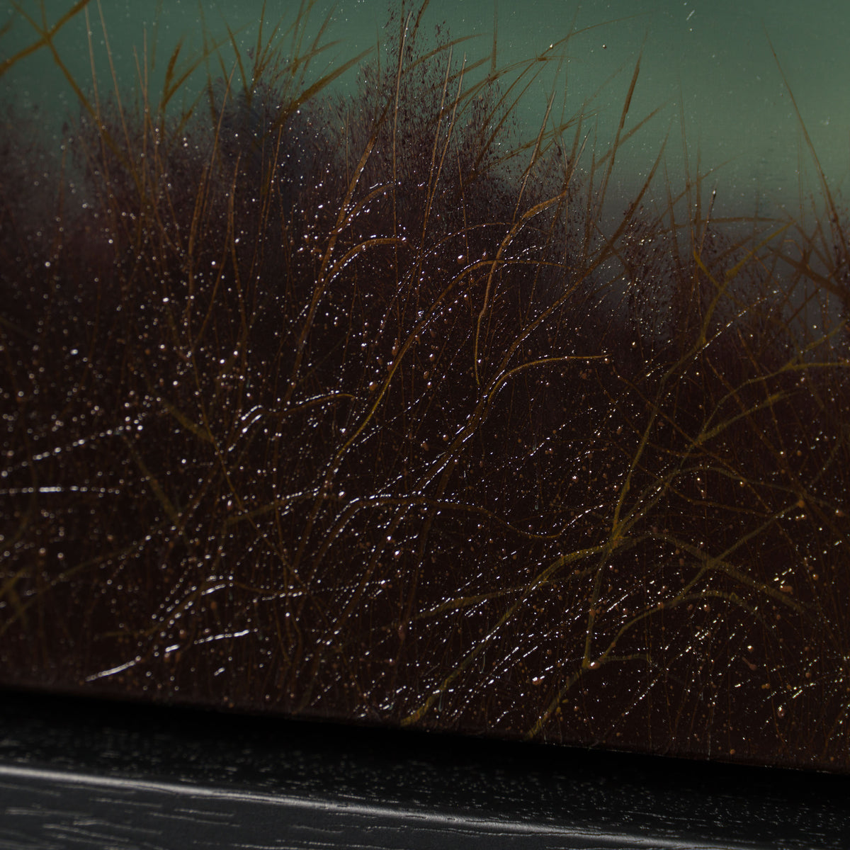 Product image 1 for lawrence-coulson-our-wilderness-original