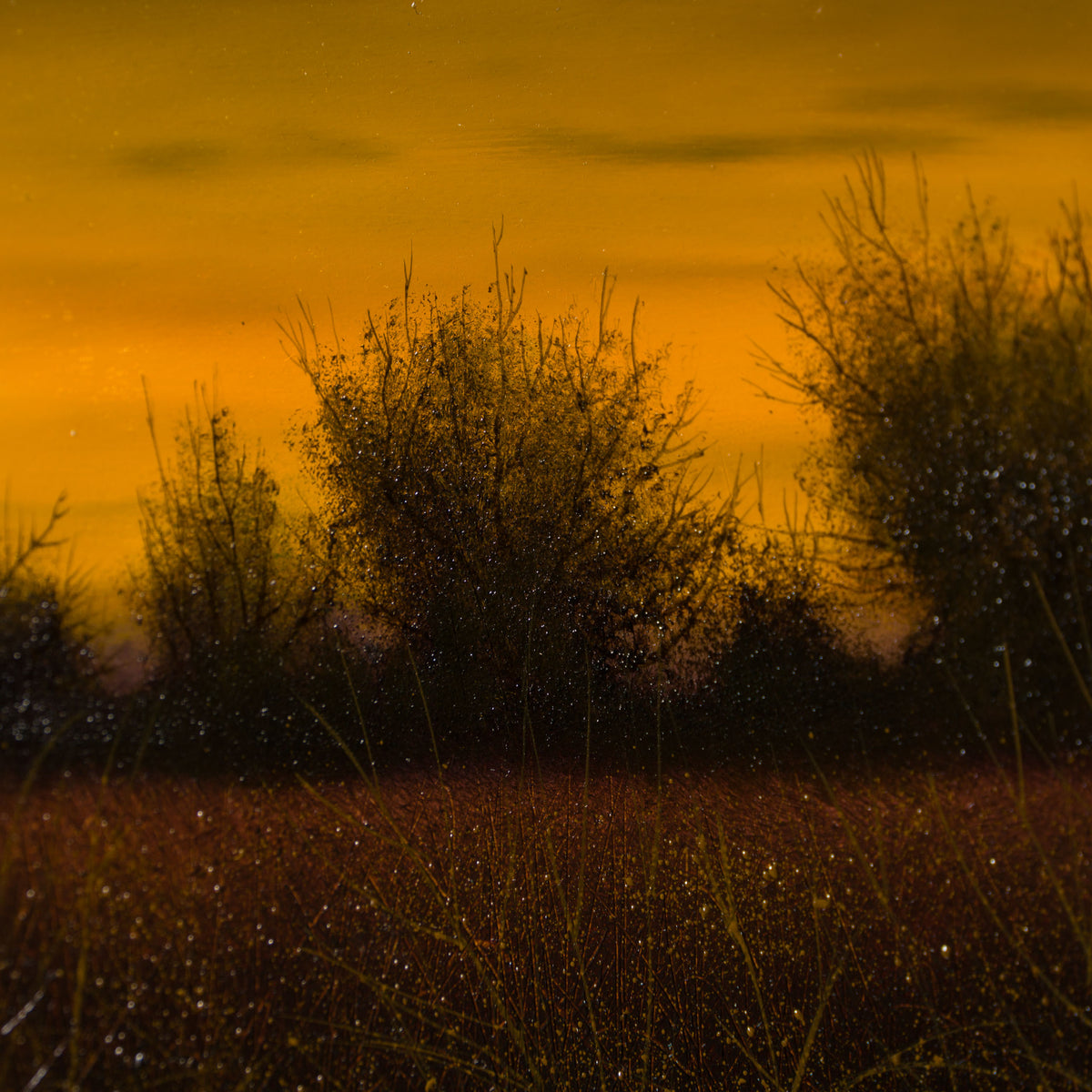 LCO ORI LAN 32591 October s Gift 6 