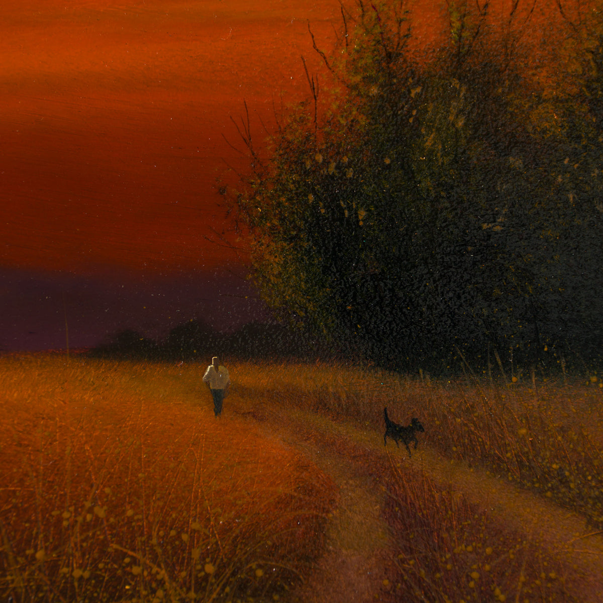 LCO ORI LAN 32592 Autumn Wonder 4 