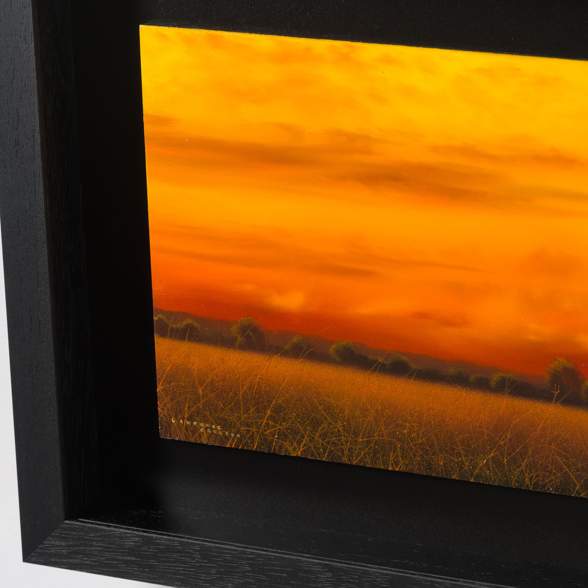 LCO ORI LAN 32592 Autumn Wonder 6 