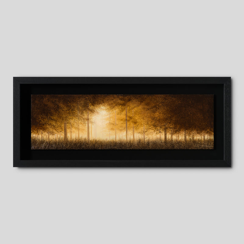 LCO ORI LAN 32595 The Beauty Of Silence 1 