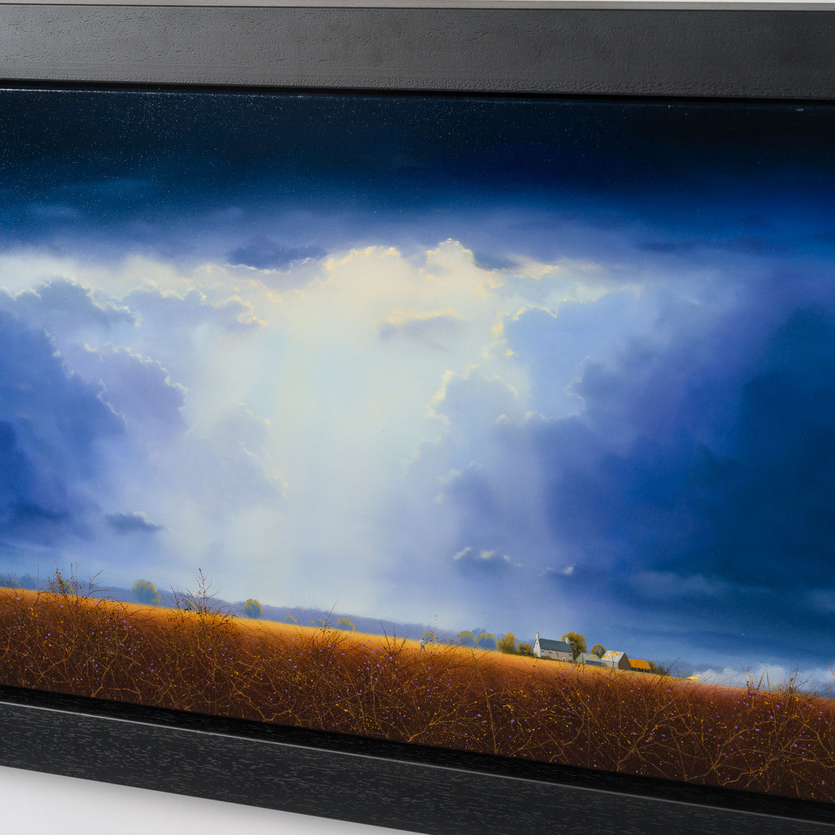 LCO ORI LAN 33233 Sapphire Sunburst 5 