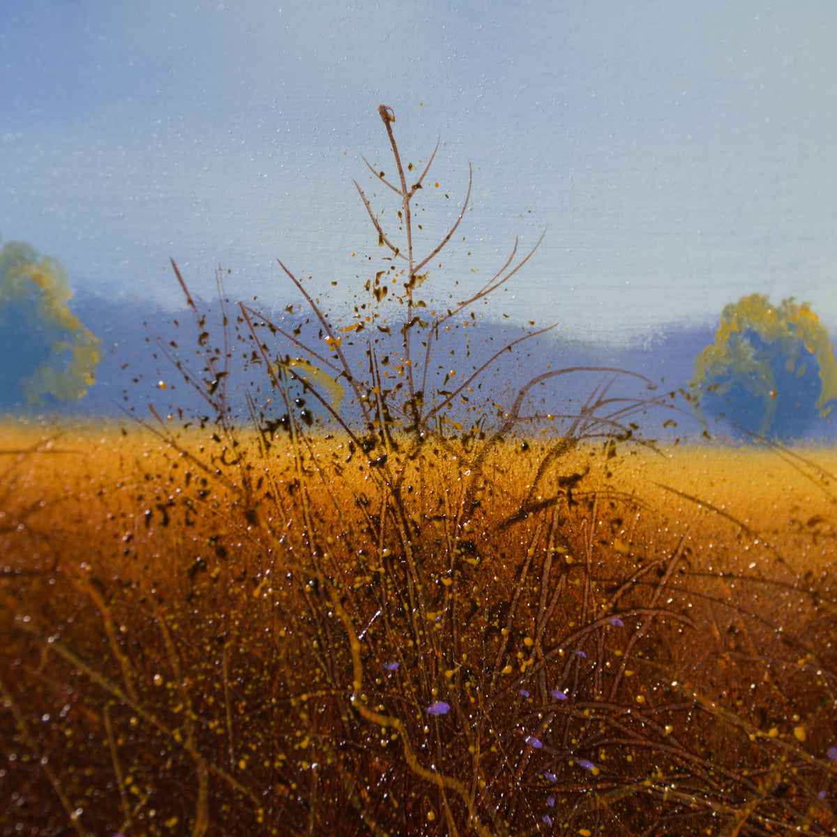 LCO ORI LAN 33233 Sapphire Sunburst 6 