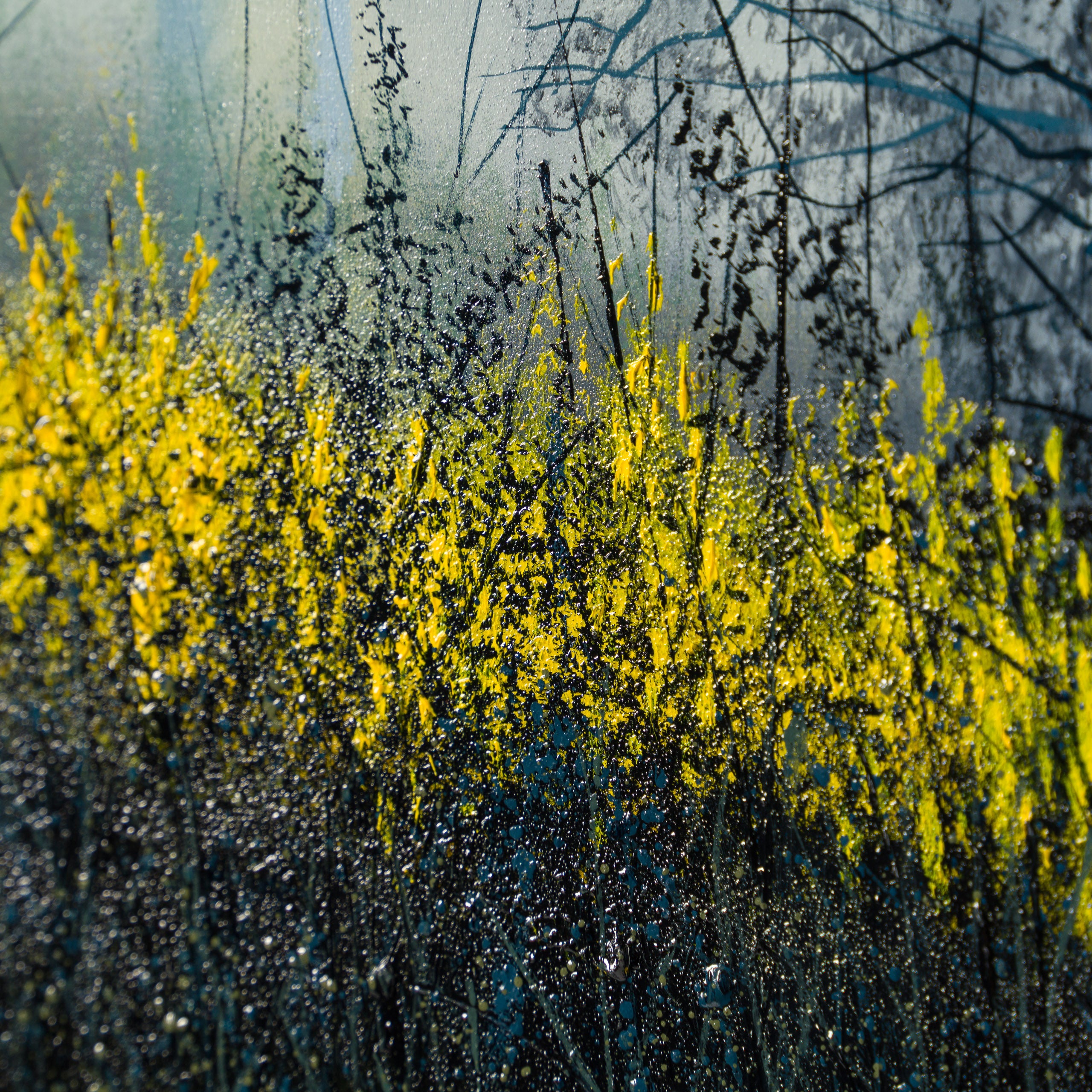 LCO ORI LAN 34142 A Secret Place 5 