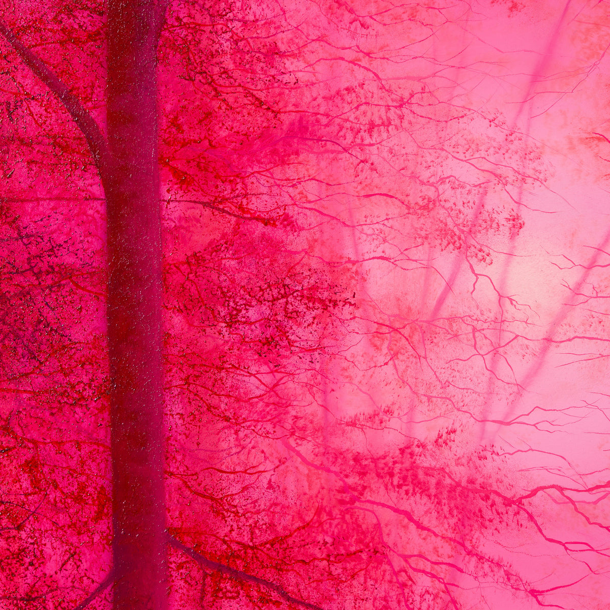 LCO ORI LAN 35245 Give Us Peace 4 