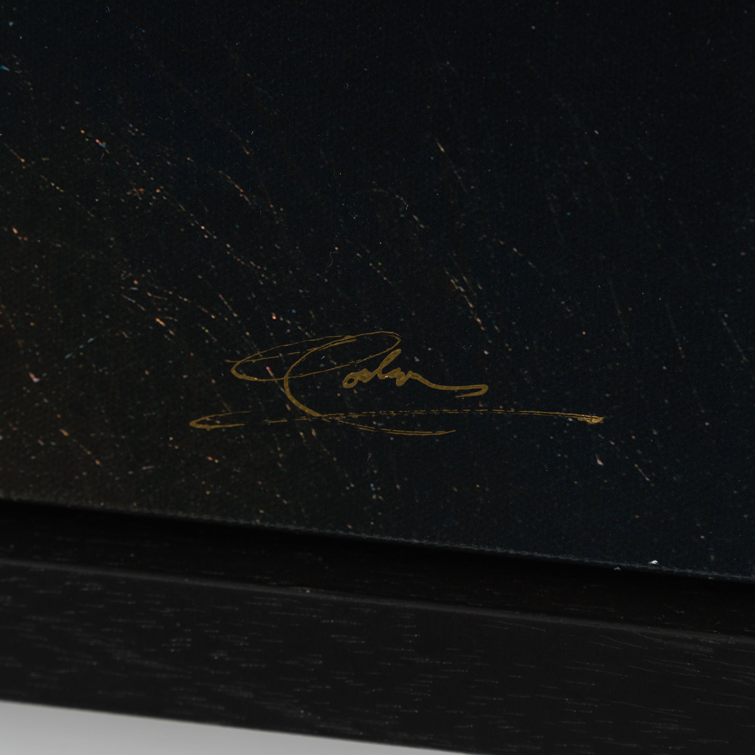 Product image 4 for lawrence-coulson-our-wilderness