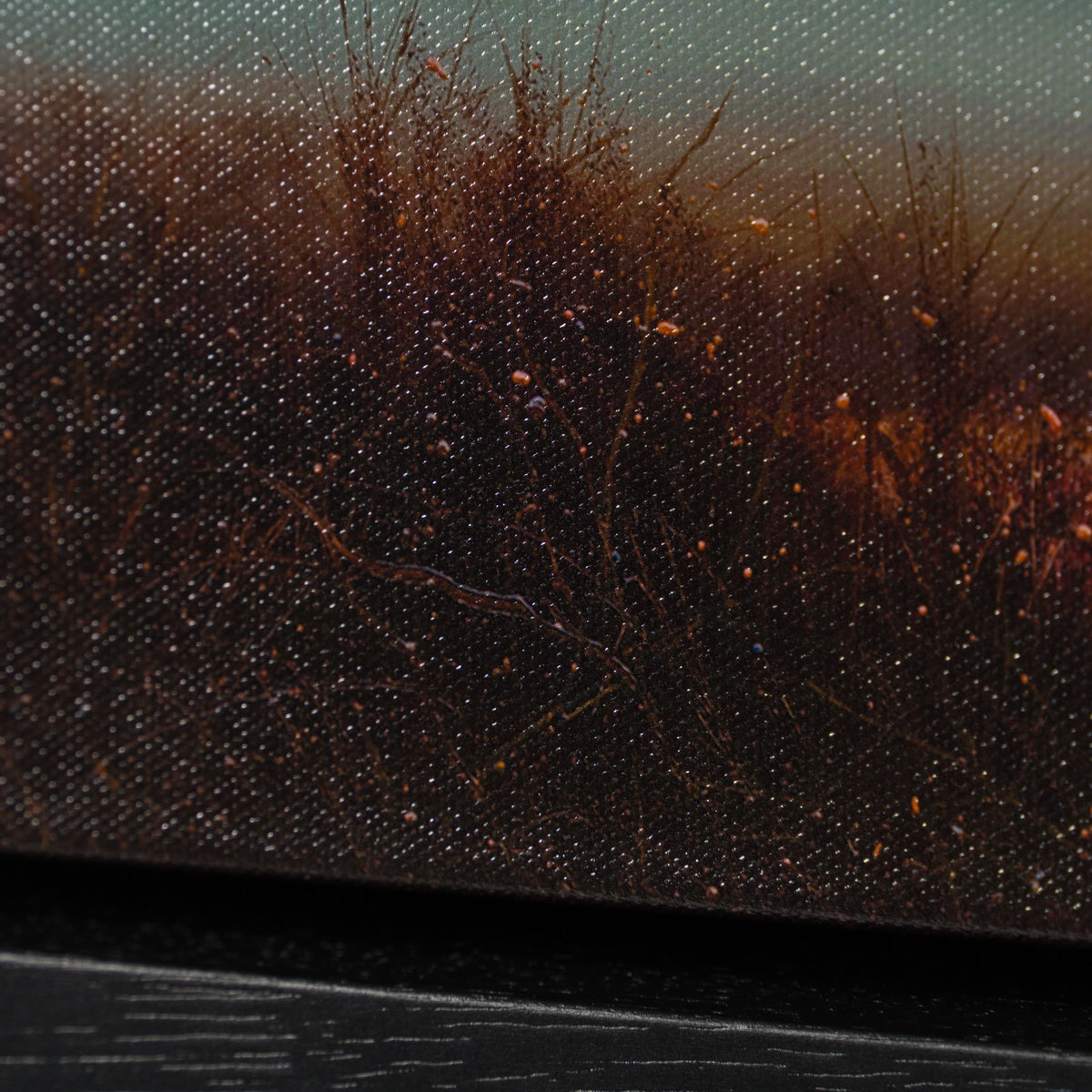 Product image 2 for lawrence-coulson-our-wilderness