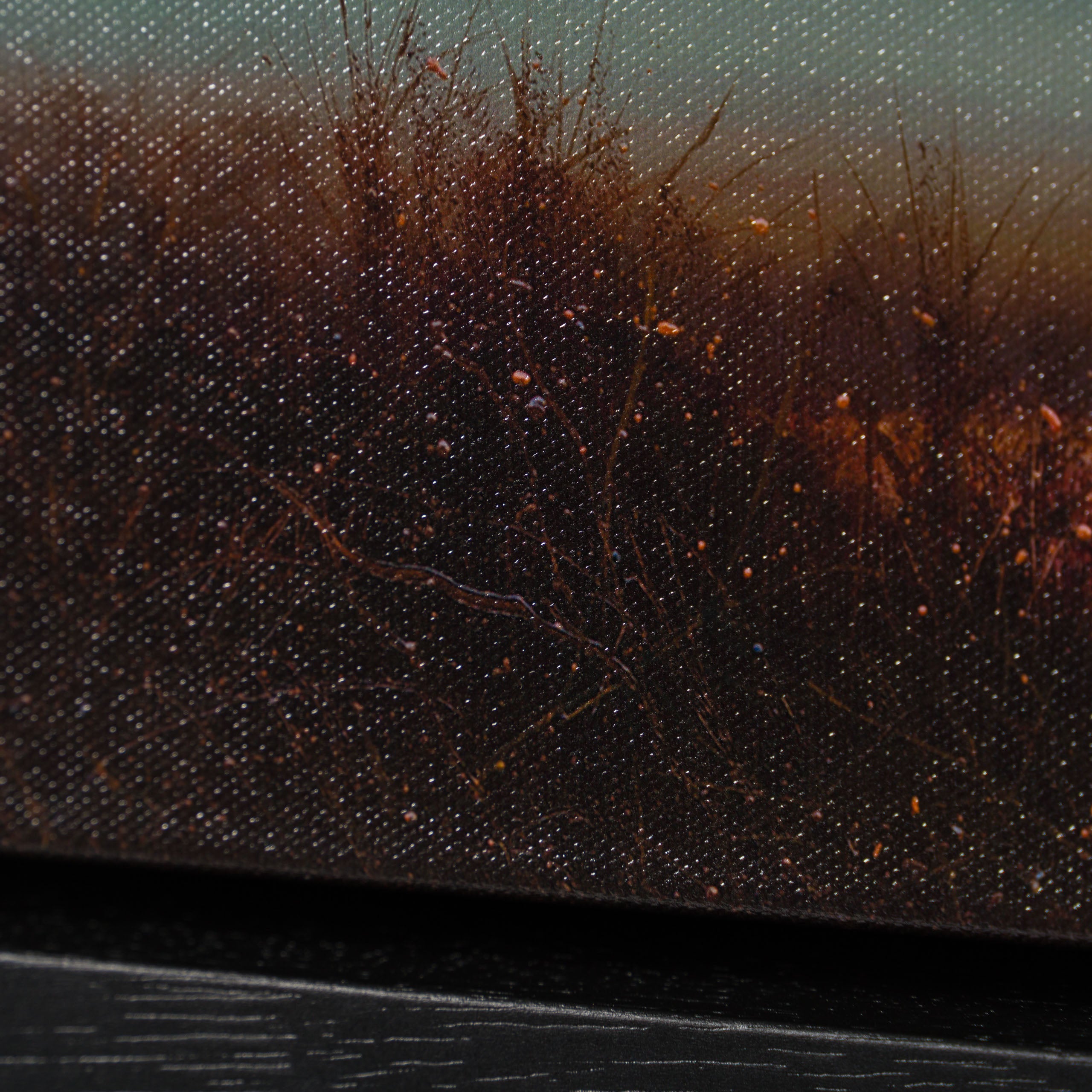 Product image 2 for lawrence-coulson-our-wilderness