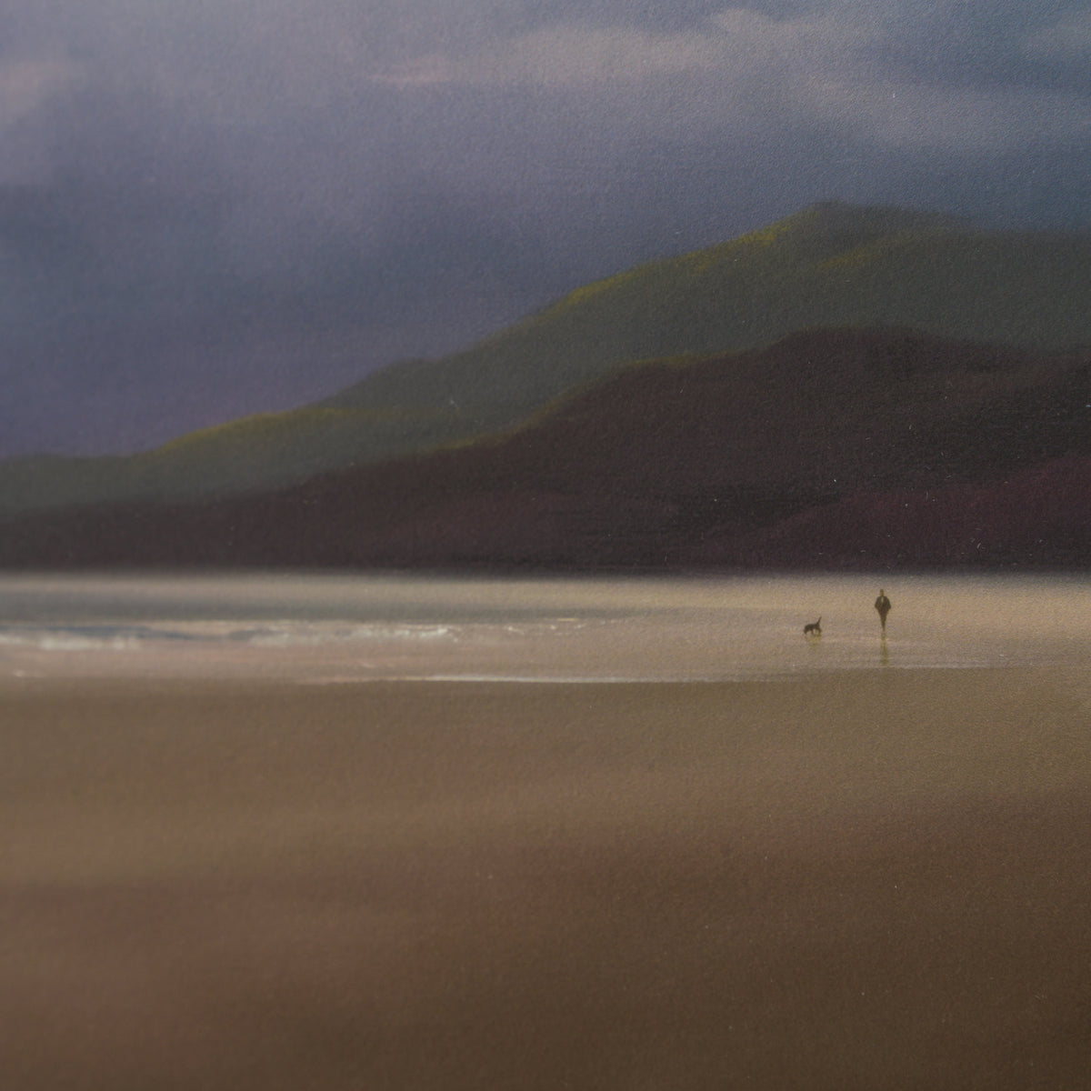 LCO SLE LAN 76272 5 Catching the Breeze 