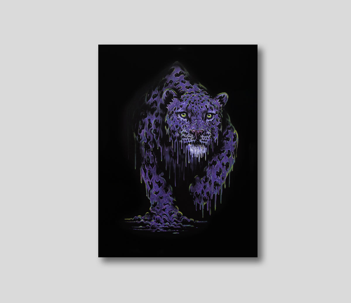 Lilith Purple Cat Oxley PI (1) 