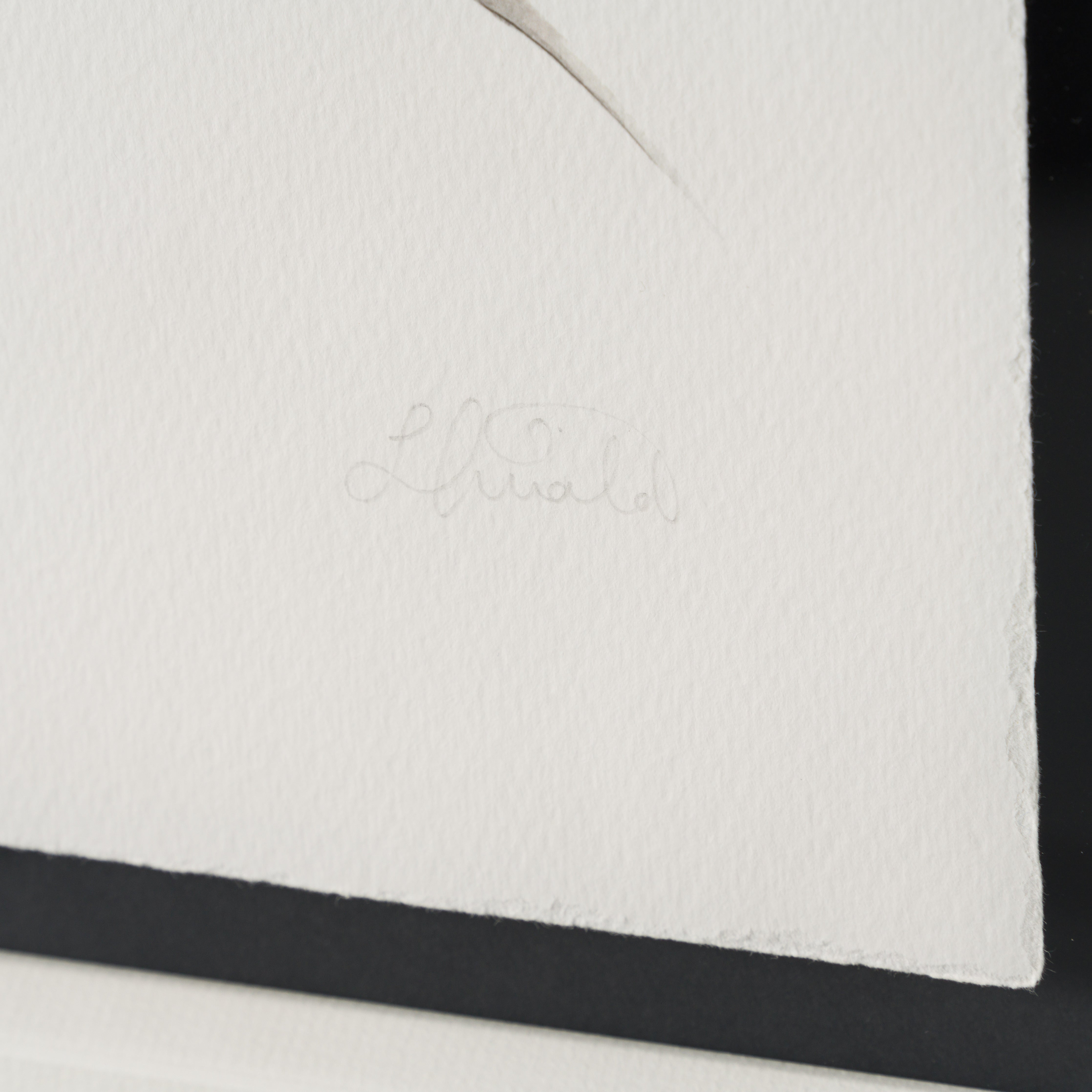 LTI SLE POR 04477 5 Lauren 