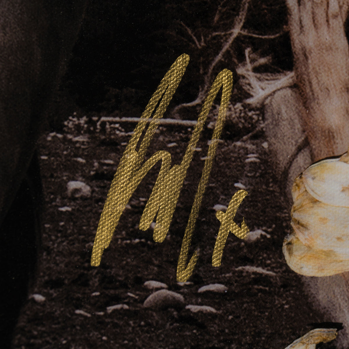 Product image 2 for raphael-mazzucco-motherland-2024-set-of-four