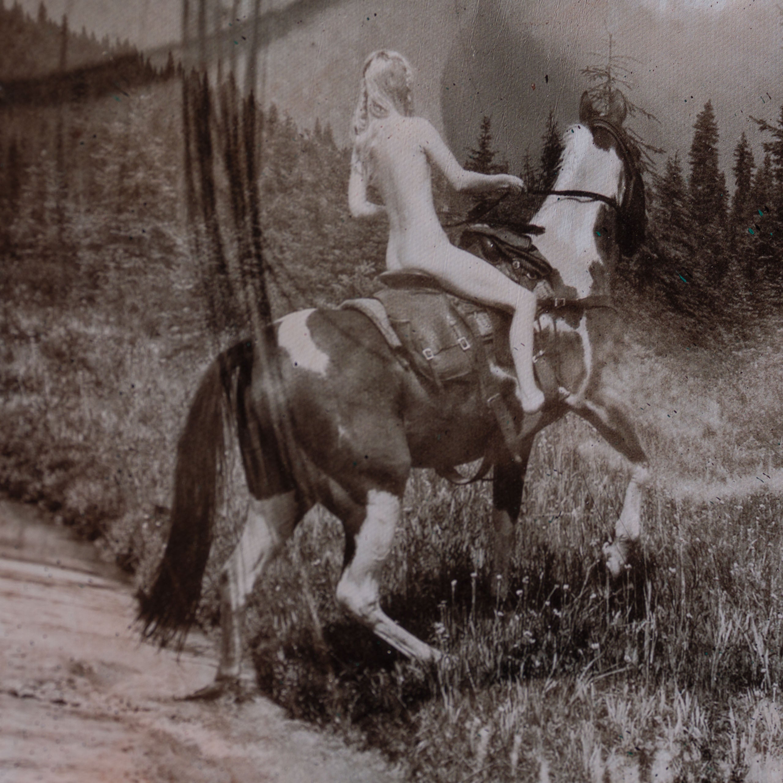 MAZ Homeward Bound 5 