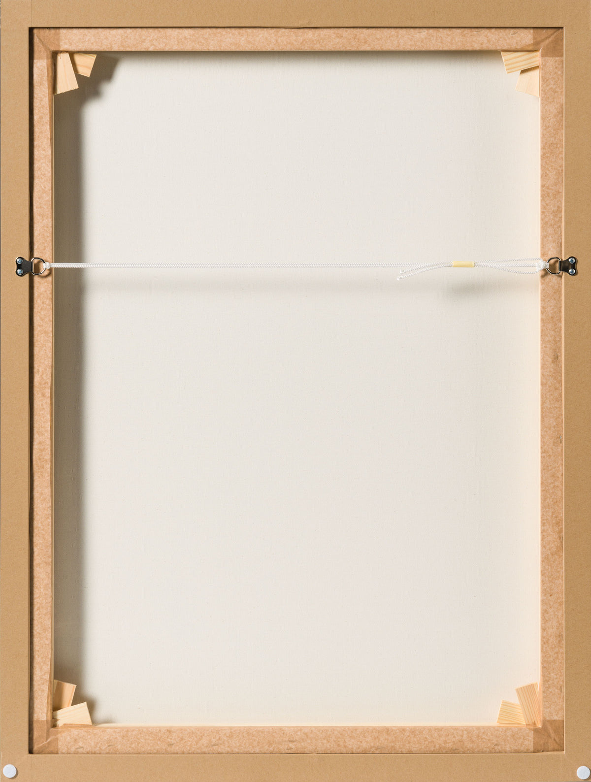 Product image 3 for raphael-mazzucco-homeward-bound