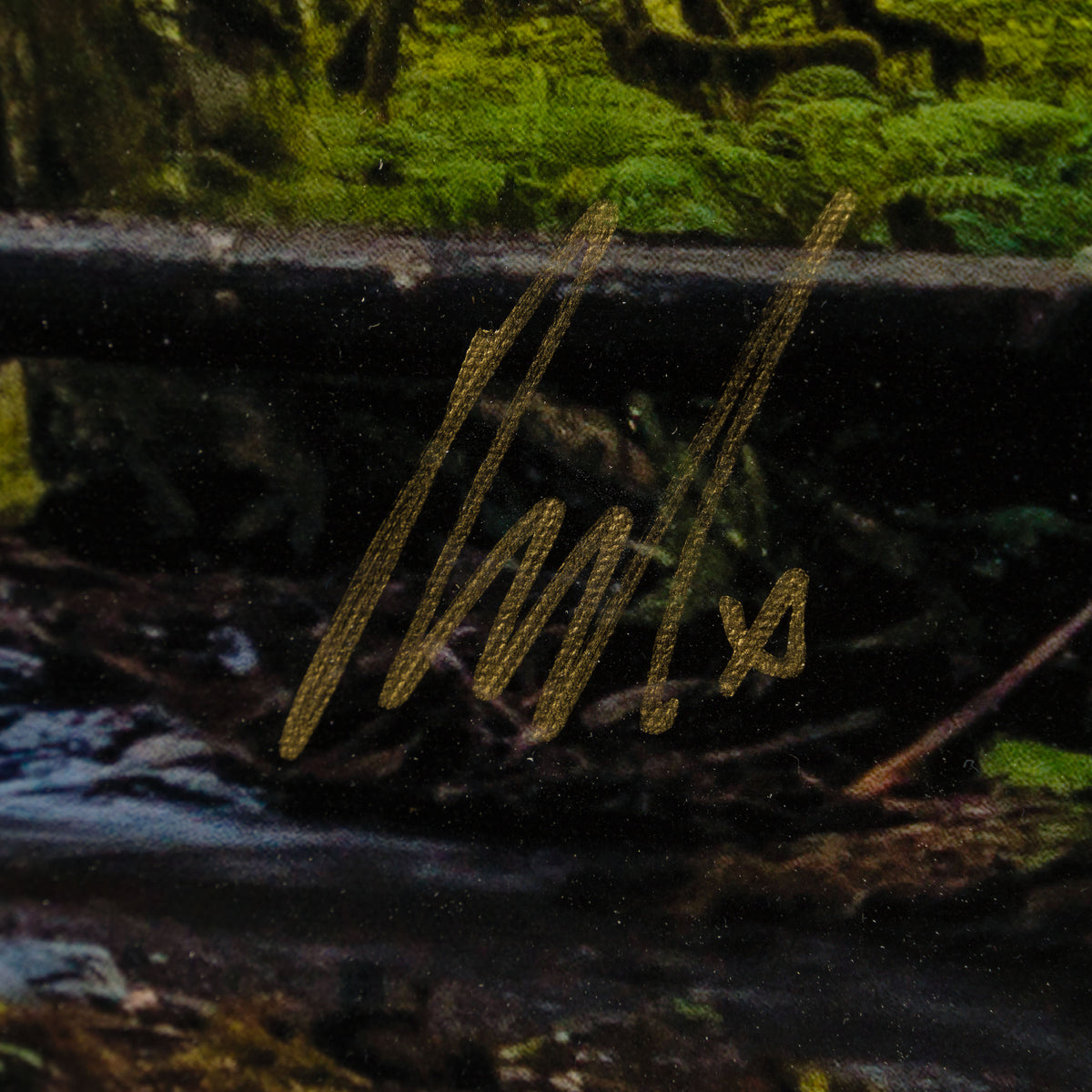 Product image 1 for raphael-mazzucco-mossy-abandon