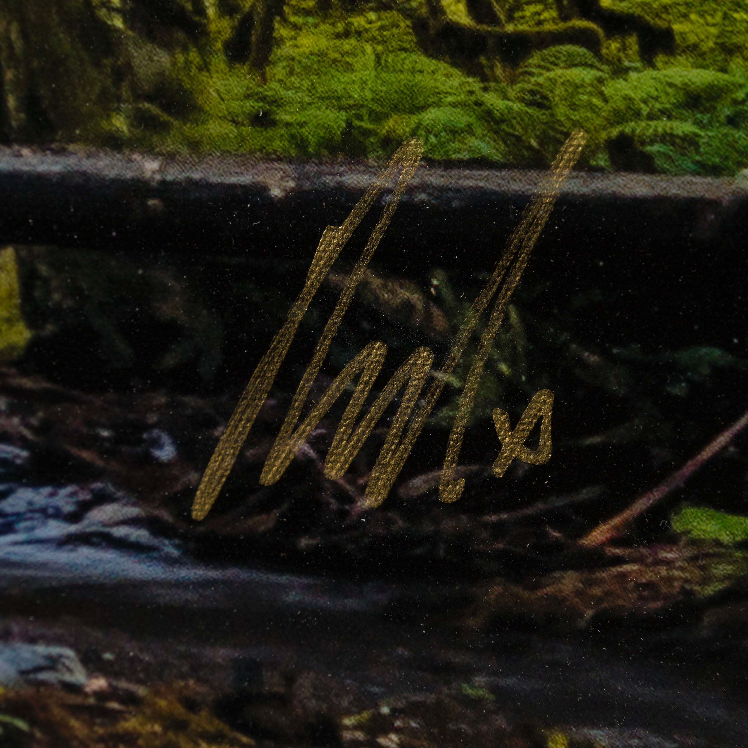 Product image 1 for raphael-mazzucco-mossy-abandon