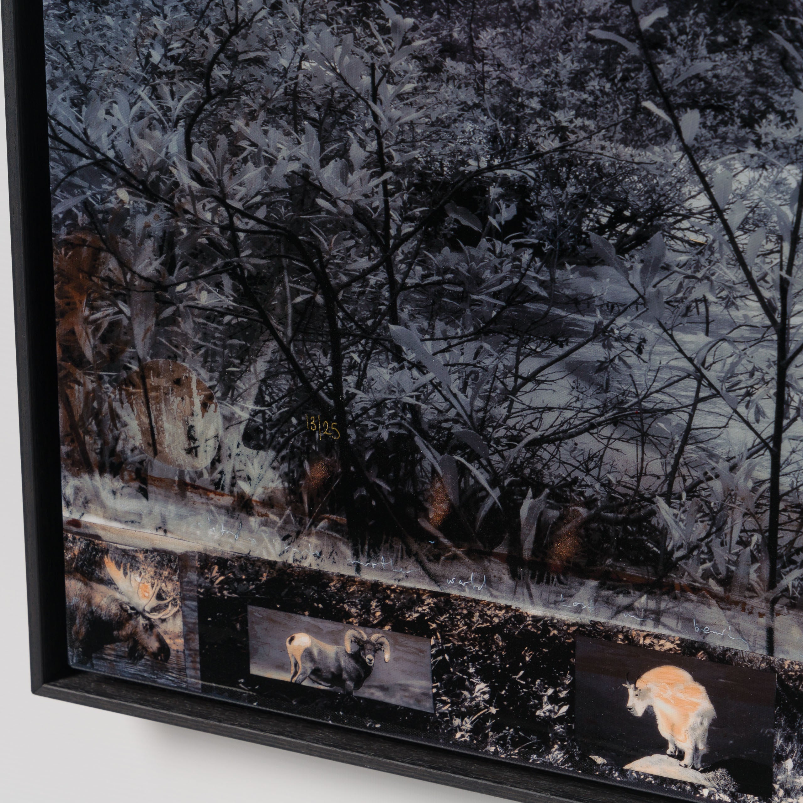 MAZ Motherland (Boutique) 5 