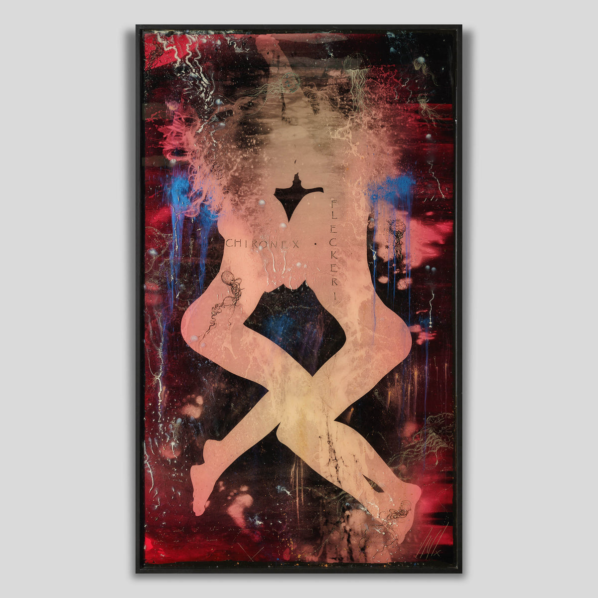 MAZ ORI POR 08607 1 Jellyfish 